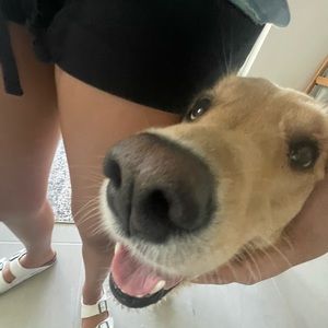 Meet your Posher, Becky